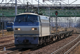 JR貨物 国鉄EF66形電気機関車 EF66-127 鉄道フォト・写真 by Yの人さん 稲沢駅：2024年02月28日12時ごろ