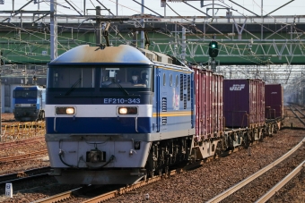 JR貨物 EF210形 EF210-343 鉄道フォト・写真 by Yの人さん 稲沢駅：2024年02月28日13時ごろ