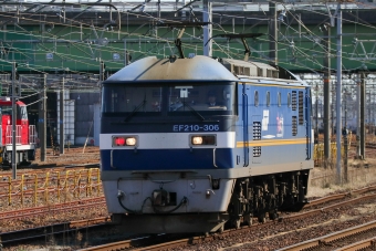 JR貨物 EF210形 EF210-306 鉄道フォト・写真 by Yの人さん 稲沢駅：2024年02月28日13時ごろ