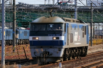 JR貨物 EF210形 EF210-161 鉄道フォト・写真 by Yの人さん 稲沢駅：2024年02月28日14時ごろ
