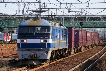 JR貨物 EF210形 EF210-308 鉄道フォト・写真 by Yの人さん 稲沢駅：2024年02月28日15時ごろ