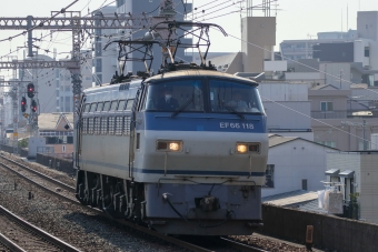 JR貨物 国鉄EF66形電気機関車 EF66-118 鉄道フォト・写真 by Yの人さん 野田駅 (JR)：2024年03月16日14時ごろ