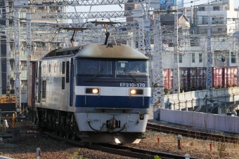 JR貨物 EF210形 EF210-170 鉄道フォト・写真 by Yの人さん 神戸駅 (兵庫県)：2024年06月01日16時ごろ