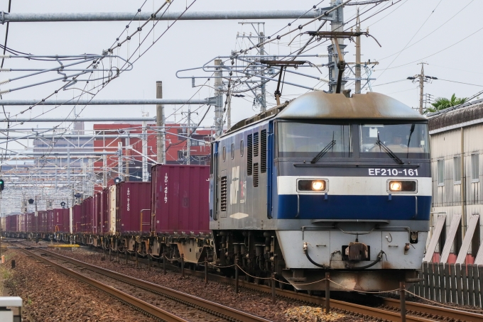 JR貨物 EF210形 EF210-161 鉄道フォト・写真 by Yの人さん 木曽川駅：2024年06月20日14時ごろ
