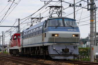 JR貨物 国鉄EF66形電気機関車 EF66-121 鉄道フォト・写真 by Yの人さん 木曽川駅：2024年06月22日12時ごろ