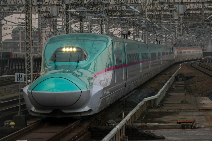 【N化済み】E5系 フル編成 JR E5系東北・北海道新幹線(はやぶさ)増結セットB｜製品情報｜製品検索