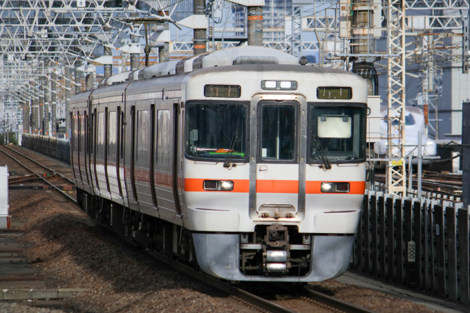 313系 T1編成 (静岡車両区) 徹底ガイド | レイルラボ(RailLab)