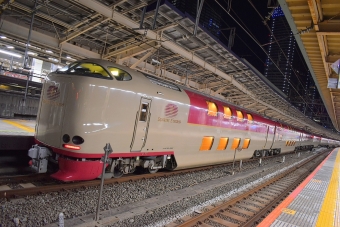 JR東日本 285系電車 サンライズ出雲(特急) 鉄道フォト・写真 by no.141さん 東京駅 (JR)：2021年12月31日21時ごろ