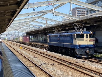 JR貨物 国鉄EF65形電気機関車 鉄道フォト・写真 by 京八さん 南流山駅 (JR)：2022年07月01日11時ごろ