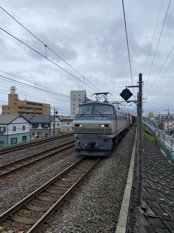 JR貨物 国鉄EF66形電気機関車 鉄道フォト・写真 by 京八さん 南流山駅 (JR)：2022年07月15日13時ごろ