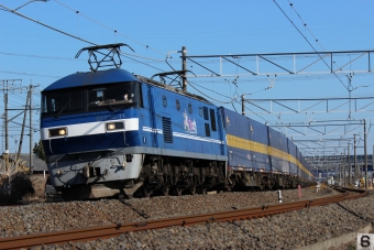 JR貨物EF210形電気機関車 鉄道フォト・写真 by naoya113さん ：2022年01月22日13時ごろ