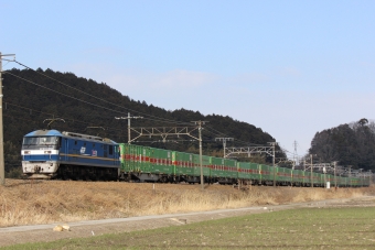 JR貨物EF210形電気機関車 鉄道フォト・写真 by naoya113さん 安土駅：2022年02月25日00時ごろ