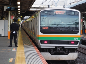 JR東日本E231系電車 鉄道フォト・写真 by てぃーわいさん 大船駅 (JR)：2021年10月31日15時ごろ
