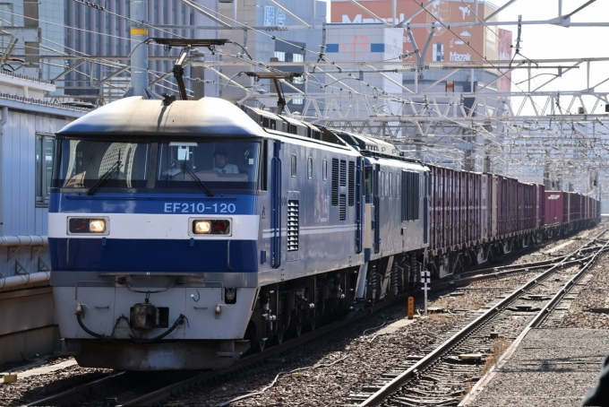 JR貨物 EF210形 EF210-120 鉄道フォト・写真 by 桜坂時雨さん 名古屋駅 (JR)：2024年01月27日10時ごろ