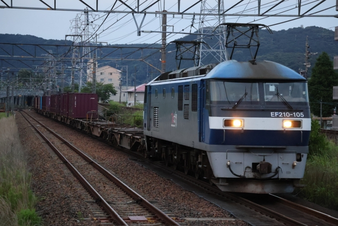 鉄道フォト・写真：JR貨物EF210形電気機関車 EF210-105 高蔵寺駅 (JR) 鉄道フォト・写真 by 桜坂時雨さん - 撮影日 2024/06/26 18:58