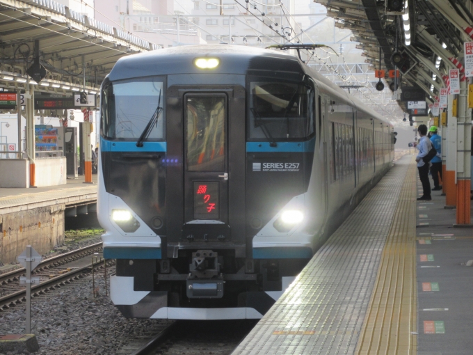 鉄道フォト・写真：JR東日本E257系電車 踊り子 クハE257-2507 熱海駅 鉄道フォト・写真 by かいそうしゃさん - 撮影日 2021/03/31 16:22