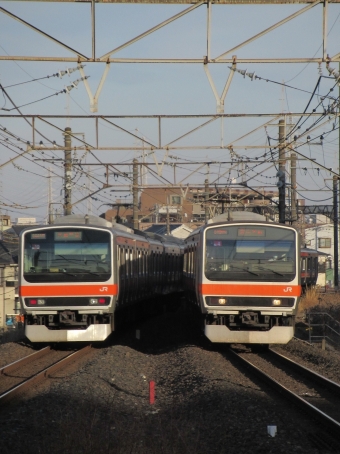 JR東日本 E231 鉄道フォト・写真 by ねこねこかねちさん 東川口駅 (JR)：2022年01月09日15時ごろ