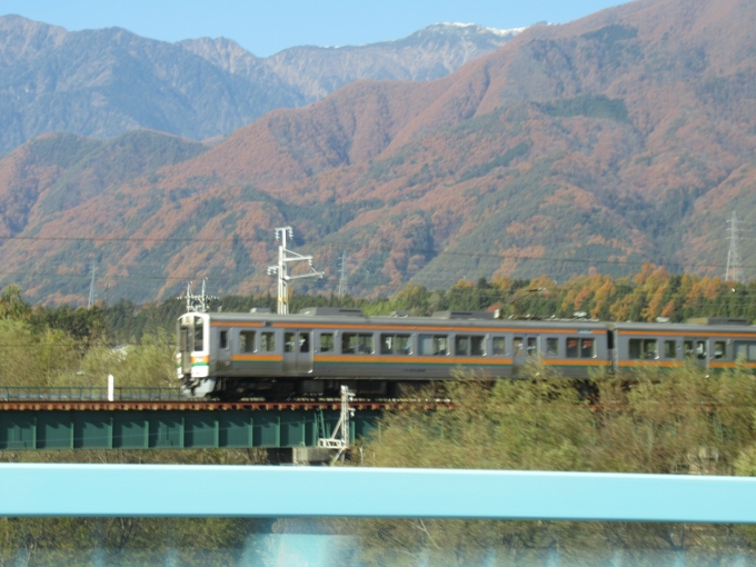 鉄道フォト・写真：JR東海  大田切駅 鉄道フォト・写真 by E233-fufuさん - 撮影日 2020/11/14 09:37
