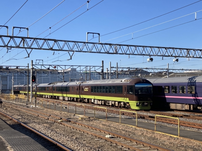 鉄道フォト・写真：JR東日本 国鉄485系電車 新前橋駅 鉄道フォト・写真 by 松茸さん - 撮影日 2022/01/09 09:37