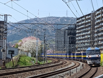JR貨物 鉄道フォト・写真 by lariさん 山崎駅 (京都府)：2022年04月09日10時ごろ