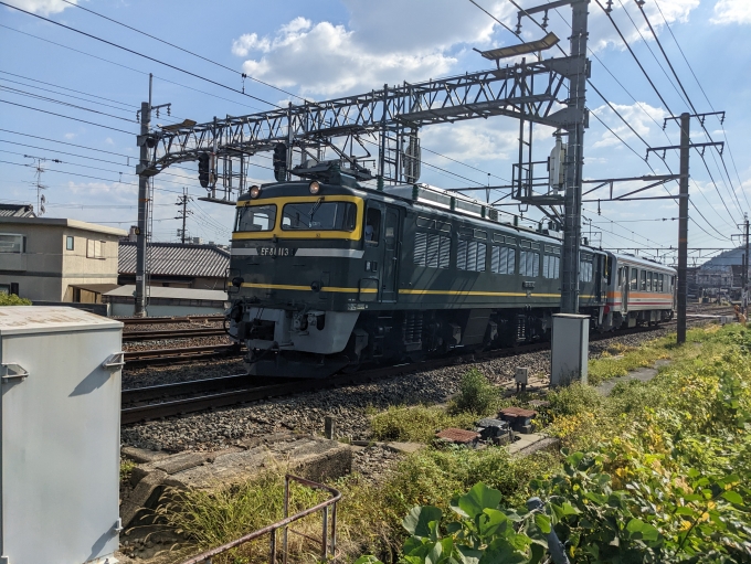 鉄道フォト・写真：JR西日本 国鉄EF81形電気機関車 島本駅 鉄道フォト・写真 by lariさん - 撮影日 2022/10/02 14:12