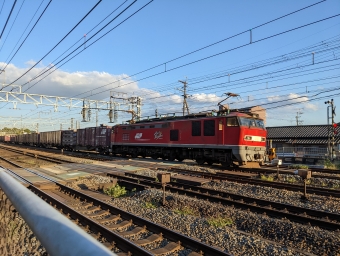 JR貨物 EF510形 EF510-7 鉄道フォト・写真 by lariさん 山崎駅 (京都府)：2022年10月15日16時ごろ