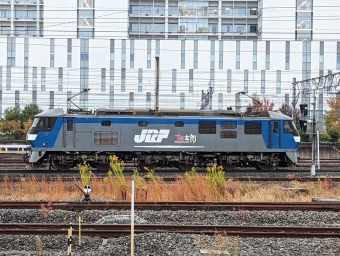 JR貨物 EF210形 EF210-172 鉄道フォト・写真 by lariさん 岸辺駅：2022年11月13日15時ごろ