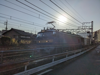 JR貨物 EF510形 EF510-503 鉄道フォト・写真 by lariさん 山崎駅 (京都府)：2022年12月10日15時ごろ
