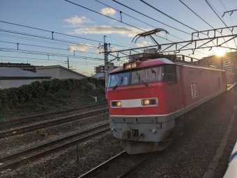 JR貨物 EF510形 EF510-3 鉄道フォト・写真 by lariさん 山崎駅 (京都府)：2023年11月18日16時ごろ