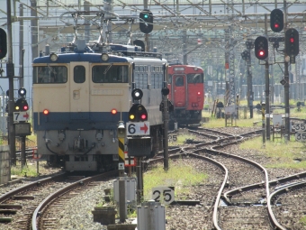 JR西日本 国鉄EF65形電気機関車 EF65-1131 鉄道フォト・写真 by HiroJtrainさん 広島駅：2021年10月03日10時ごろ