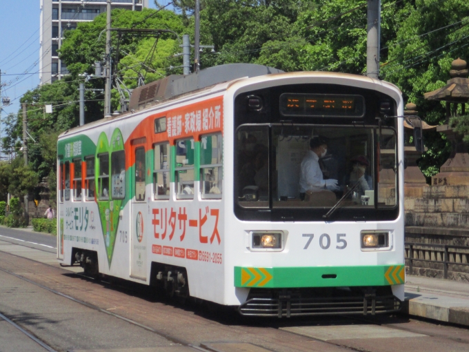 鉄道フォト・写真：阪堺電気軌道モ701形電車 705 住吉鳥居前停留場 鉄道フォト・写真 by ウグイスさん - 撮影日 2024/05/04 13:22