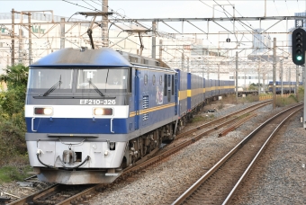 JR貨物EF210形電気機関車 カンガルーライナーSS60 鉄道フォト・写真 by よっさん 新川崎駅：2021年11月14日06時ごろ
