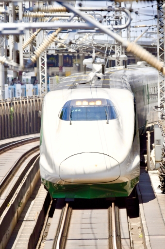 JR東日本 E223形(T1c) 東北新幹線開業40周年記念団体専用臨時列車「なつかしのあおば号」 E223-1016 鉄道フォト・写真 by よっさん 日暮里駅 (JR)：2022年06月25日12時ごろ