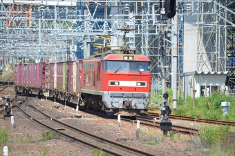 JR貨物 EF510形 EF510-2 鉄道フォト・写真 by よっさん 敦賀駅 (JR)：2020年05月23日14時ごろ
