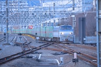 JR貨物 国鉄EF66形電気機関車 福山レールエクスプレス EF66-129 鉄道フォト・写真 by よっさん 静岡駅：2021年01月20日07時ごろ