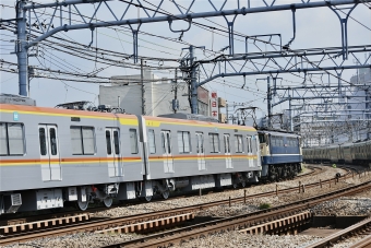 JR貨物 国鉄EF65形電気機関車 EF65-2139 鉄道フォト・写真 by よっさん 大船駅 (JR)：2021年08月28日09時ごろ