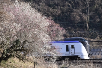 かいじ(特急) 鉄道フォト・写真