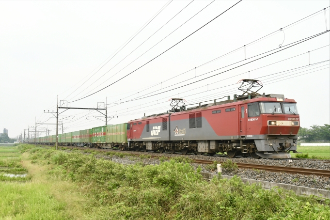 鉄道フォト・写真：JR貨物EH500形電気機関車 EH500-57 蓮田駅 鉄道フォト・写真 by よっさん - 撮影日 2022/06/18 06:52