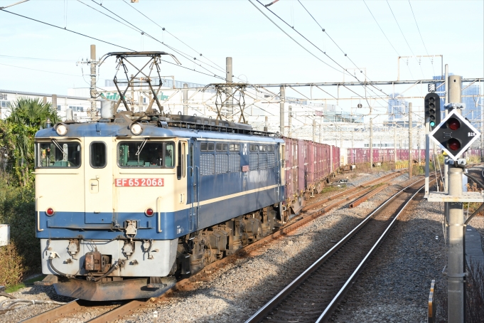 鉄道フォト・写真：JR貨物 国鉄EF65形電気機関車 EF65 2068 新川崎駅 鉄道フォト・写真 by よっさん - 撮影日 2021/11/14 07:33