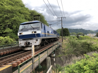 JR貨物 EF210形 EF210-305 鉄道フォト・写真 by よっさん 柏原駅 (滋賀県)：2020年05月09日11時ごろ