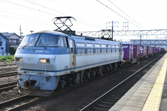 JR貨物 国鉄EF66形電気機関車 EF66 115 鉄道フォト・写真 by よっさん 清洲駅：2021年05月22日07時ごろ