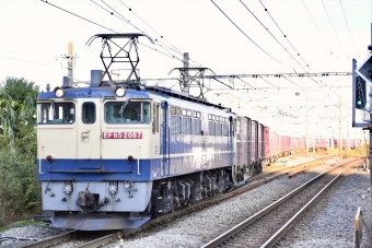 JR貨物 国鉄EF65形電気機関車 EF65 2087 鉄道フォト・写真 by よっさん 新川崎駅：2021年11月14日08時ごろ