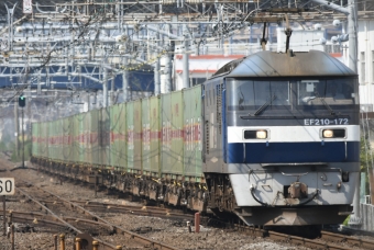 JR貨物 EF210形 福山レールエクスプレス EF210-172 鉄道フォト・写真 by よっさん 大船駅 (JR)：2021年08月28日09時ごろ