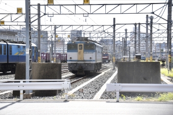 JR貨物 国鉄EF65形電気機関車 EF65 2127 鉄道フォト・写真 by よっさん 隅田川駅：2023年09月24日14時ごろ