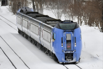 大雪(特急) 鉄道フォト・写真
