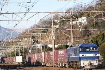 JR貨物 EF210形 EF210-9 鉄道フォト・写真 by よっさん 大磯駅：2022年02月06日07時ごろ