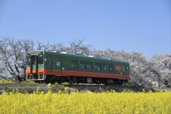 モオカ14-4 鉄道フォト・写真