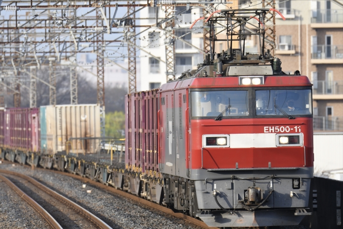 JR貨物 EH500形 EH500-11 鉄道フォト・写真 by よっさん 西浦和駅：2023年03月12日07時ごろ