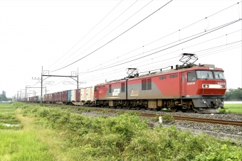 JR貨物 EH500形 EH500-80 鉄道フォト・写真 by よっさん 蓮田駅：2022年06月18日08時ごろ