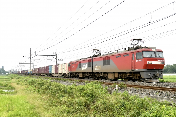 鉄道フォト・写真：JR貨物EH500形電気機関車 EH500-80 蓮田駅 鉄道フォト・写真 by よっさん - 撮影日 2022/06/18 08:22